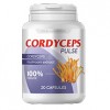 Cordyceps Pulse - remediu pentru hipertensiune arterială.