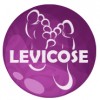 Levicose - gel pentru vene varicoase